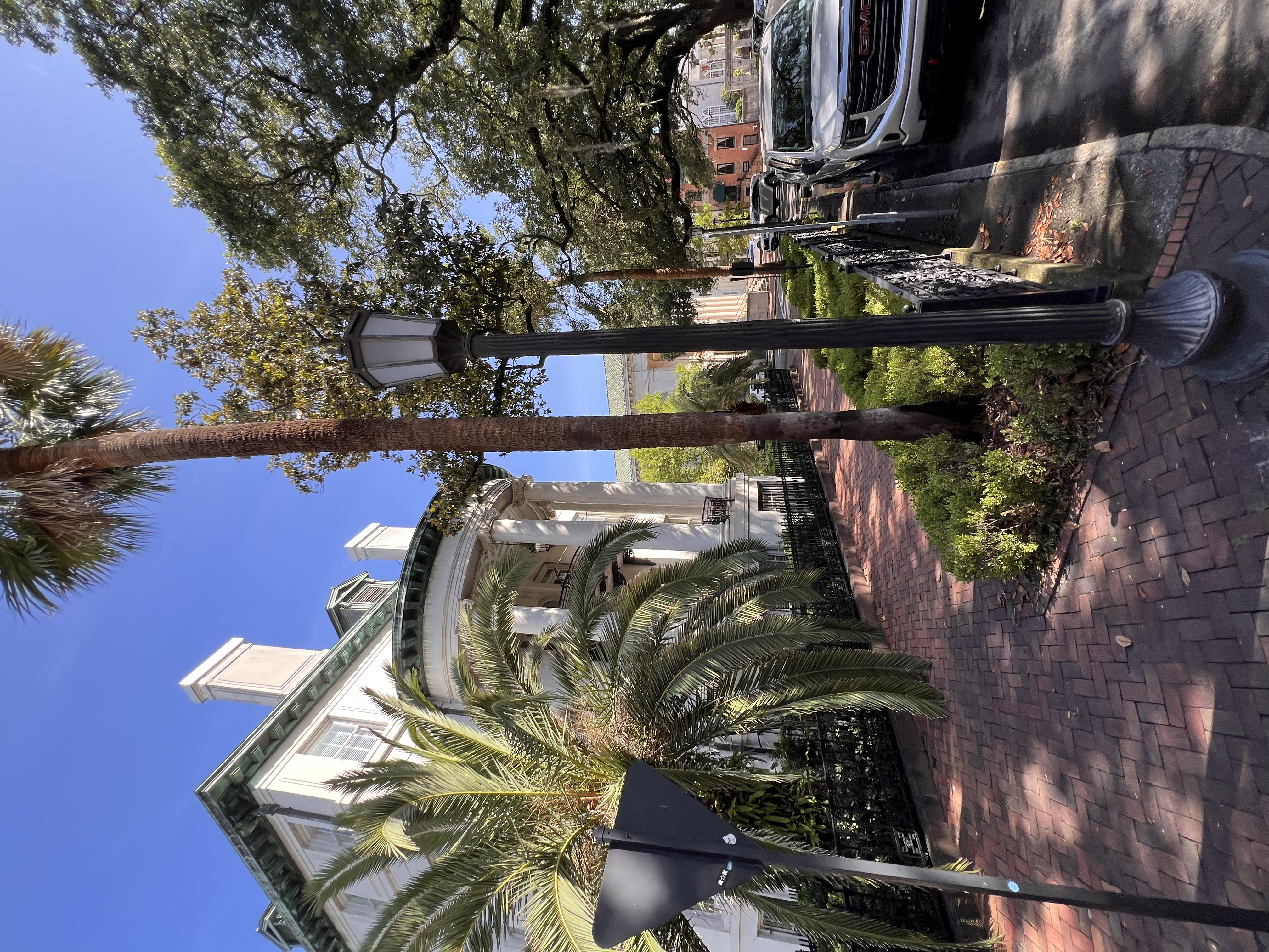 ./2025/06 - Savannah/IMG_1105.jpg